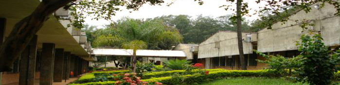 Programa de Pós-Graduação em Psicologia (PPGPsi)